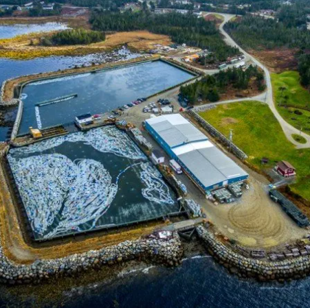 I. Deveau Fisheries Facility and Lobster Ponds
